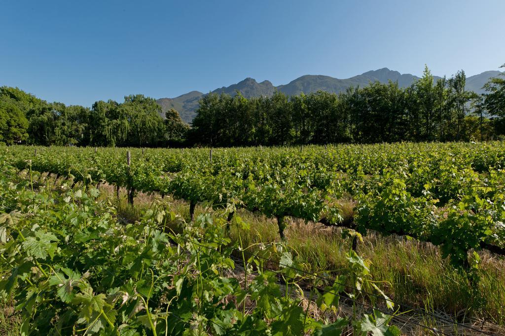 La Galiniere Guest Cottages Франсхук Экстерьер фото