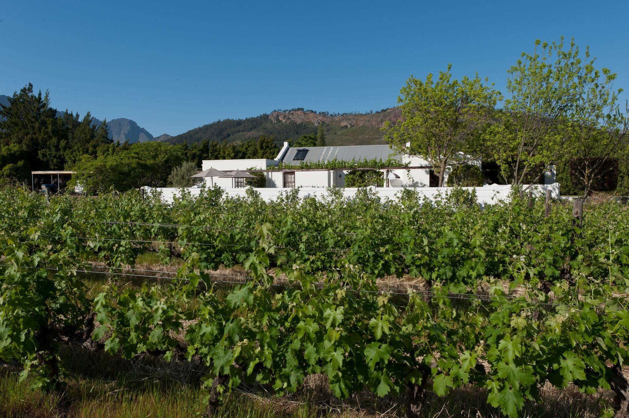 La Galiniere Guest Cottages Франсхук Экстерьер фото